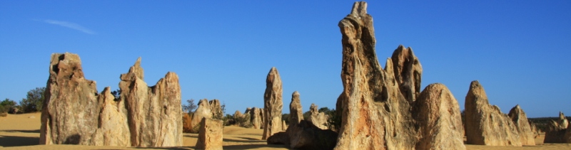 Banner Pinnacles 1.jpg